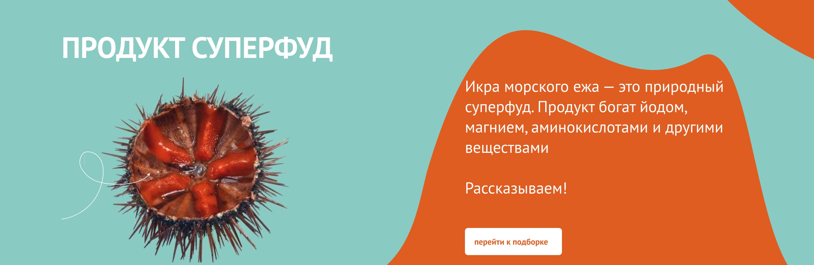 Первый слайд