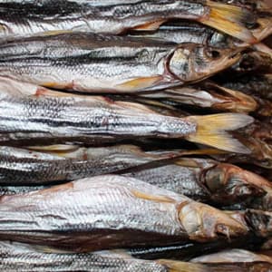 Быстрый способ приготовления вяленой корюшки