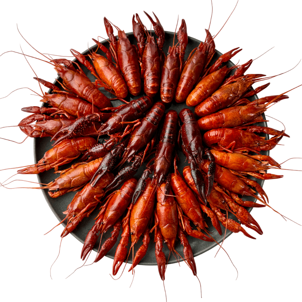 Раки в панцире в укропном рассоле, варёно-мороженые, 1 кг