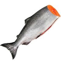 Рыбий жир из лосося в капсулах детский