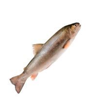 Рыбий жир норвегия лосось