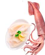 Кальмар