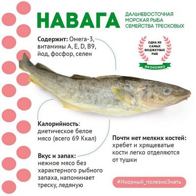 7 причин, за что любят навагу и что с ней готовить?