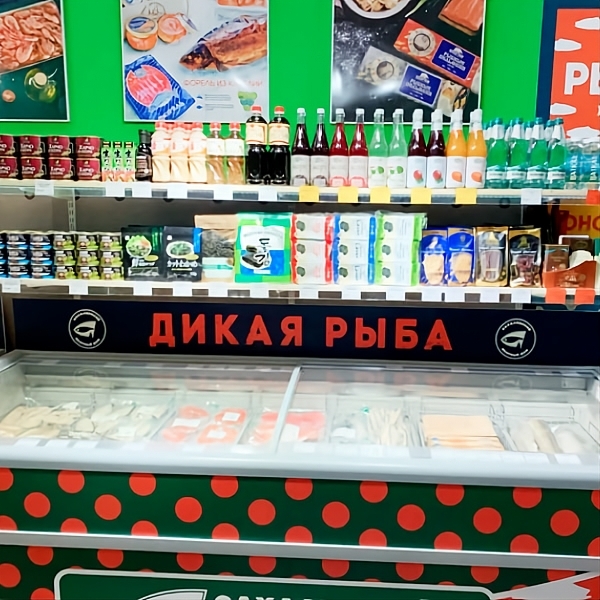 Сокол