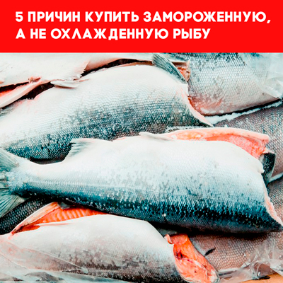 Охлажденная и замороженная рыба. В чем разница?